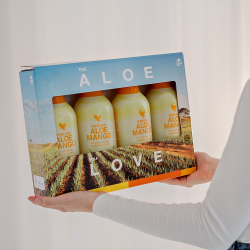 4 Pack Aloe Mango